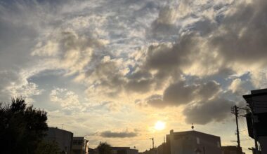 Around my neighbourhood 🏡😊