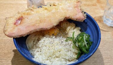 First meal of this trip - Udon