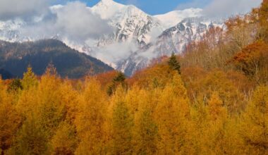 Okuhida, Gifu - in the shadows of the Northern Alps