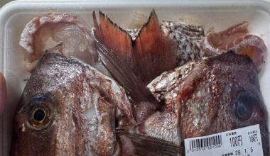 Tai no Aradaki- braised sea bream fish head