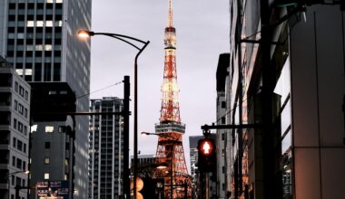 My favorite picture I took of Tokyo Tower