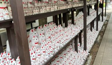 Visiting Gotokuji Temple and soaking in all the lucky cat energy 🐾🍀