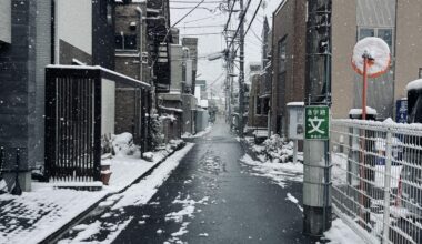 Snow falling, Tokyo quiet
