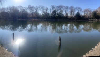 Good morning from Shakujikoen park Nerima