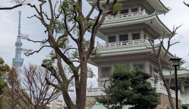 Contrast between Old and New