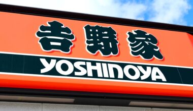 Japan's Gyudon (Beef Bowl) restaurant companies are struggling due to rising ingredient costs and are branching out to serve other dishes. Yoshinoya now wants to be world's #1 Ramen restaurant. Sukiya's parent company is getting into the hamburger business