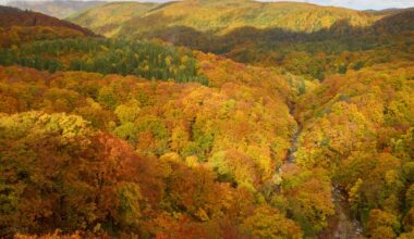 Jogakura Valley, Hakkoda Mountains