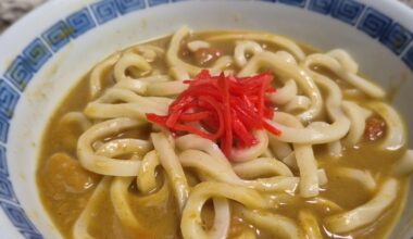 curry udon