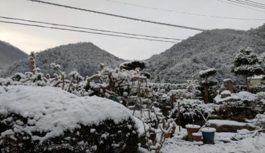 Japanese garden in the snow