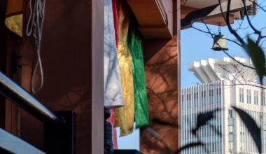 Pics I took on New Year’s