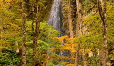 Oirase Gorge (Pt II)