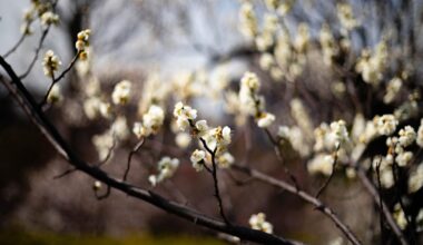 February is underrated for exploring.