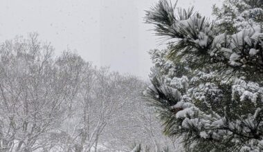 Shinjuku Docomo Tower in a snowstorm