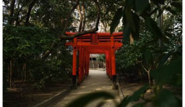 Fukuoka Shrines and Canal City