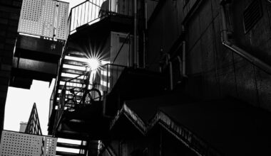 And then... it snowed...