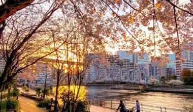 Canalside Views, Tennozu Isle, Tokyo
