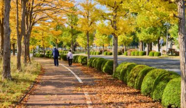 Aomori City (Part I)