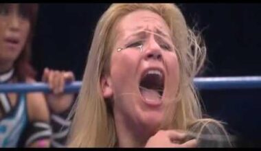 Fighting spirit wrestling was a show aired on Sonic Nickelodeon it had njpw matches in hindi commentary
