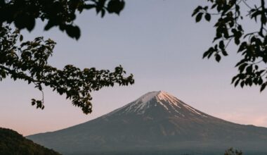 That one summertime in Fuji 2024