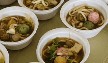 “Homestyle udon bowls — light broth, thick noodles, and classic topping