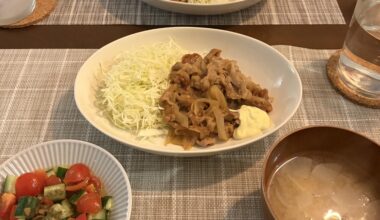 【我が家の夕食】旦那が下味から作った生姜焼きと、私の特製サラダです。🍚🥢 Tonight's Dinner: Ginger Pork (Shogayaki) marinated by my husband, and my tomato-cucumber salad.