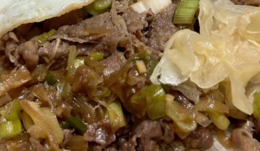 If you are drunk, make gyudon!