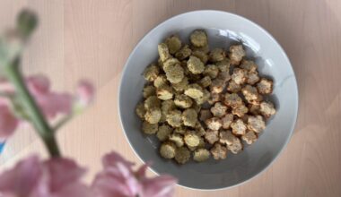 Homemade cookie using okara