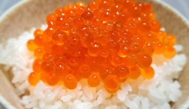 Ikura Donburi for Today’s Dinner