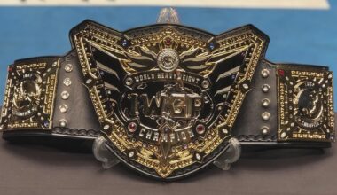 Fun idea: What if in the future, a heel threatens to BRING BACK the IWGP World heavyweight championship?