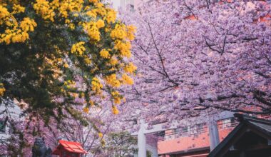 雪や氷が解け、静かに命が芽吹き始める春