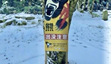 Bear warning sign at Tenneiji Temple, Aizu Wakamatsu, Fukushima. 🐻 😱