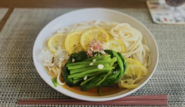 My husband is obsessed with "Mensen" (noodle alignment). He made this refreshing cold Udon with lemon and spinach, paying extra attention to every single strand! 🍋🍜 [OC]