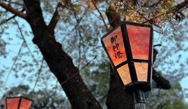 Almost sakura season 🌸