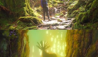 I Found Every Princess Mononoke Location in Japan