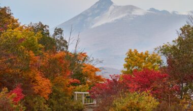Onuma Park, Hokkaido (Part I)