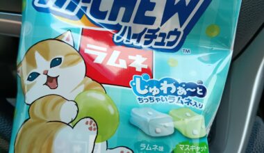 この季節がやって来た！ファミリーにゃーとの季節だ！ It's that time of year again! It's family にゃーと！