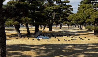 Calm afternoon, garden near Imperial Palace