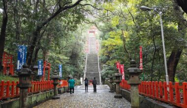 A collection of photos from multiple locations Nov 2025