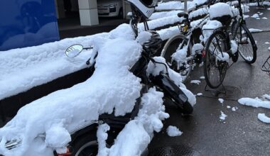 After the snow yesterday