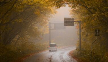 Hakkoda Mountains Pt III