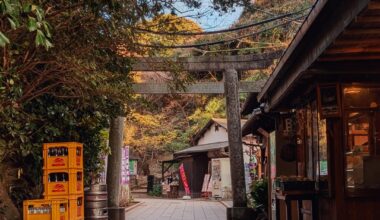 Winter trip to Kyushu (And Tokyo)