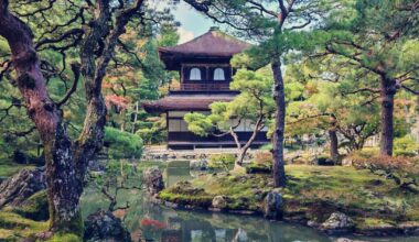 The peaceful geometry of Japanese gardens is somehow fascinating