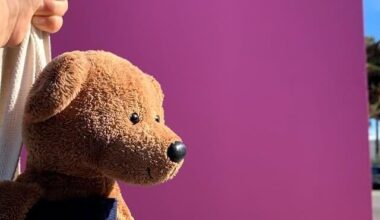 Help me / Lost my teddy bear in Shinjuku