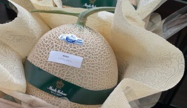 Musk Melon ($207USD)