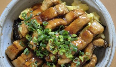 Homemade Unagi Don — not perfect yet, but I’m getting there