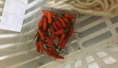 What are these called