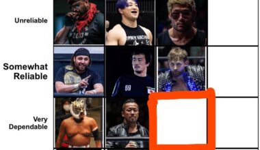 NJPW TV Champion El Phantasmo has been voted a High Tier Performer that is Somewhat Reliable. Now for the higher praises. Who in the NJPW roster is a High Tier Performer and Very Dependable? Criteria Details in Caption