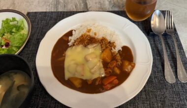 [Homemade] A very ordinary Japanese curry that helped me get through the day