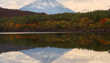 Lake Saiko, Fuji Five Lakes