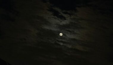 To people in Tokyo tonight: catch the moon!